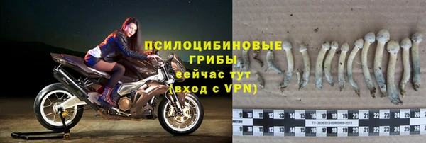 сатива Алексин
