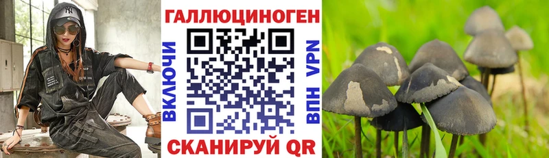 Псилоцибиновые грибы Cubensis  Карабаш 